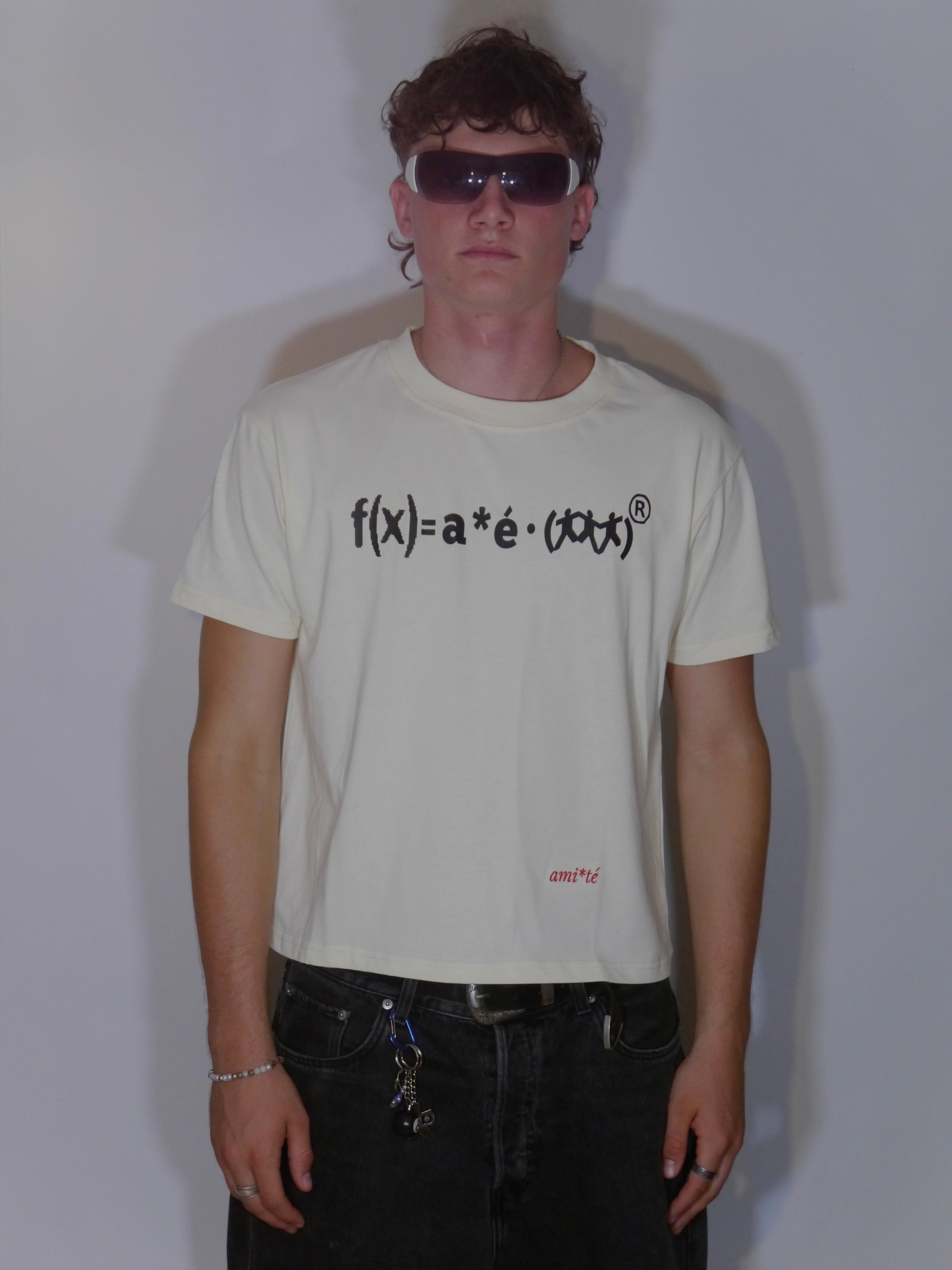 aé shirt matheformel